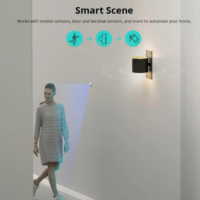 SONOFF MINIR4M Matter MINIR4 Wifi Smart Switch