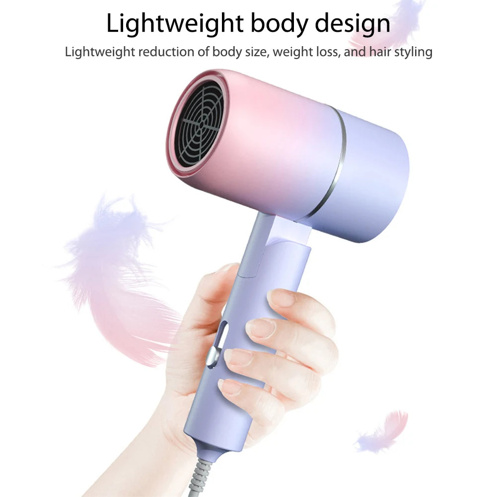 Electric Hair Dryer